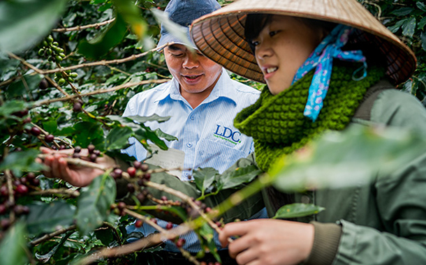 Jacobs Douwe Egberts launches sustainability project in Vietnam
