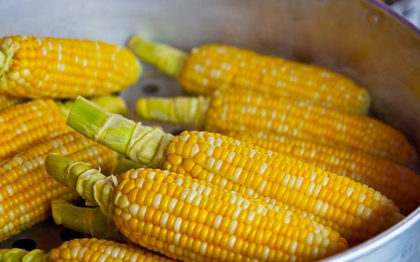 Dacsa Bunge Ukraine to build $14m corn processing plant