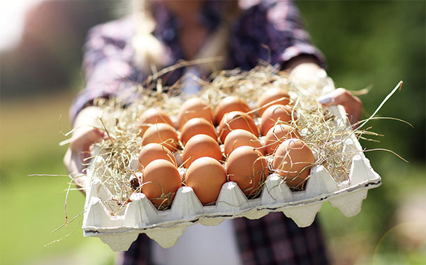 Orkla Foods Norge plans shift to free-range eggs in its products