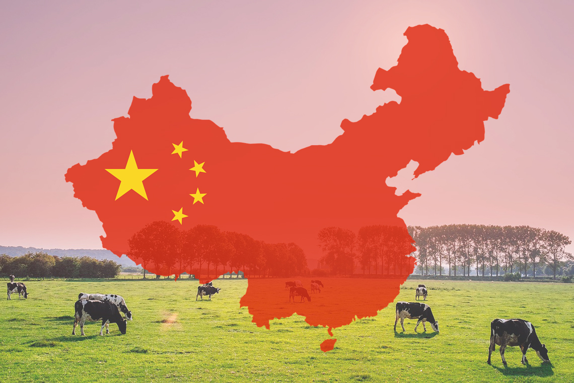Tainted milk: China has moved towards ‘zero-tolerance’ model