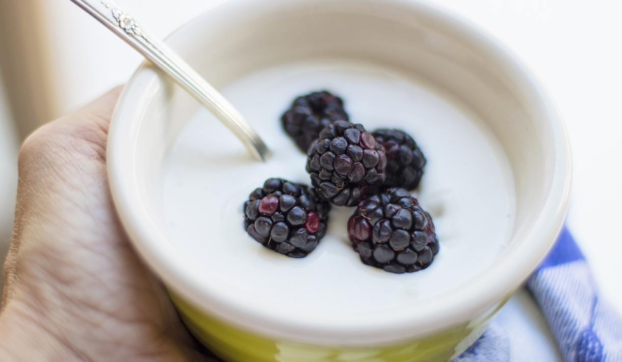 DuPont unveils new Yo-Mix M11 starter culture for yogurts