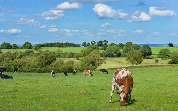 Arla launches first dairy climate roadmap in UK