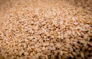 FDA considers requiring sesame be disclosed as allergen on labels