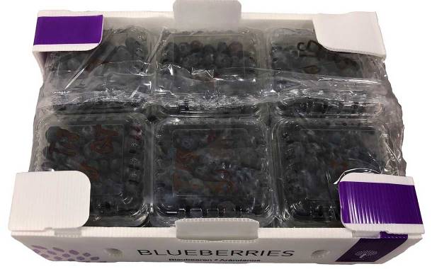 Stepac creates new cost-saving blueberry packaging solution