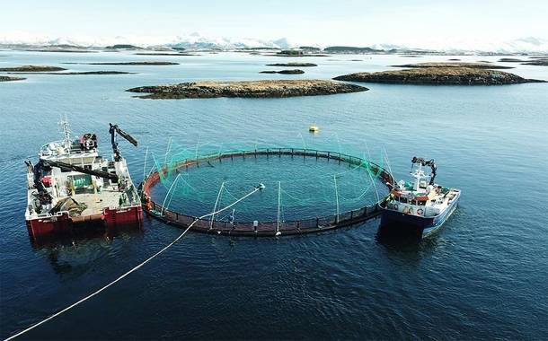 Marine Harvest plans to change its name to Mowi as of next year