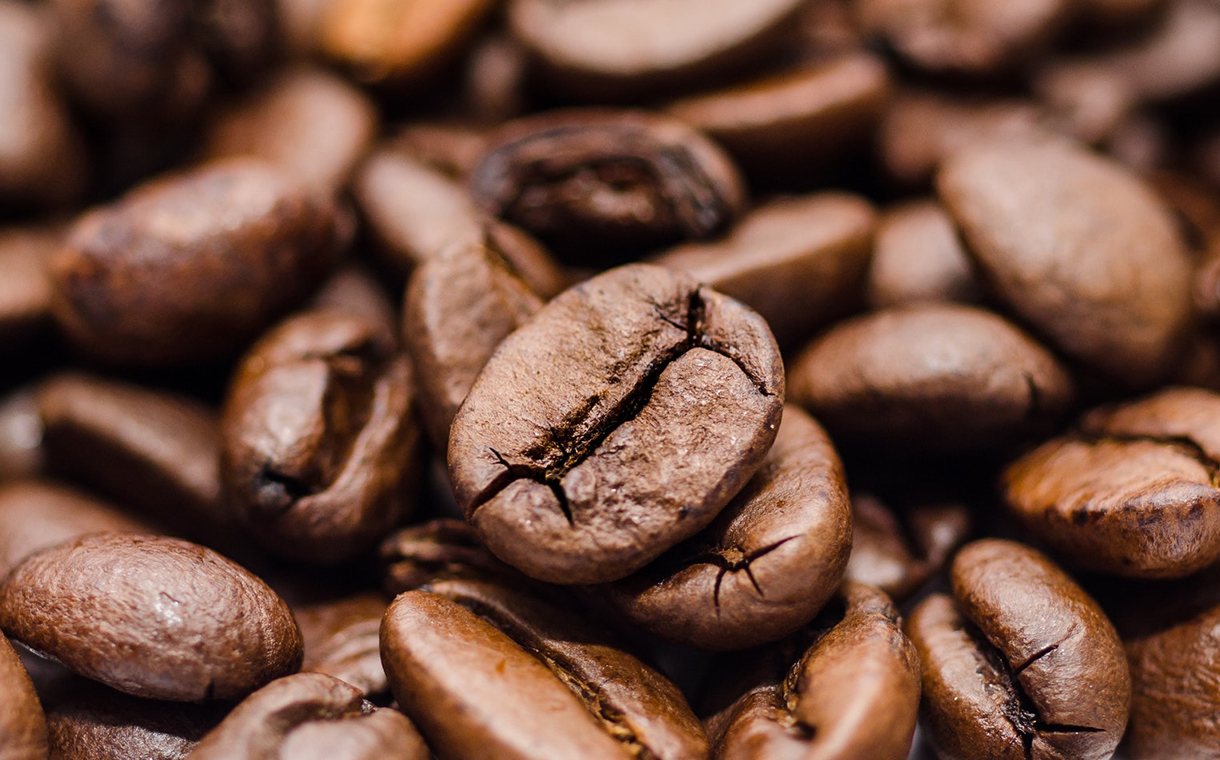 Nestlé to invest $154m in new coffee facility in Veracruz, Mexico