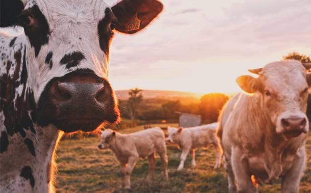 Supply chain software firm Milk Moovement secures $3.2m in funding