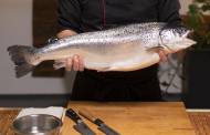 Start-up to launch salmon range for a 'resource-strained world'