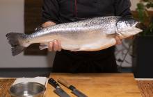 Start-up to launch salmon range for a 'resource-strained world'