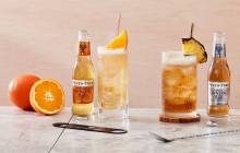 Fever-Tree develops three new takes on ginger ale for US market