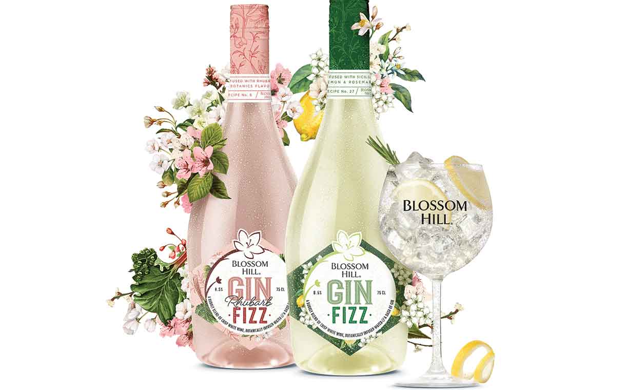 Treasury Wine Estates releases Blossom Hill Gin Fizz duo in UK