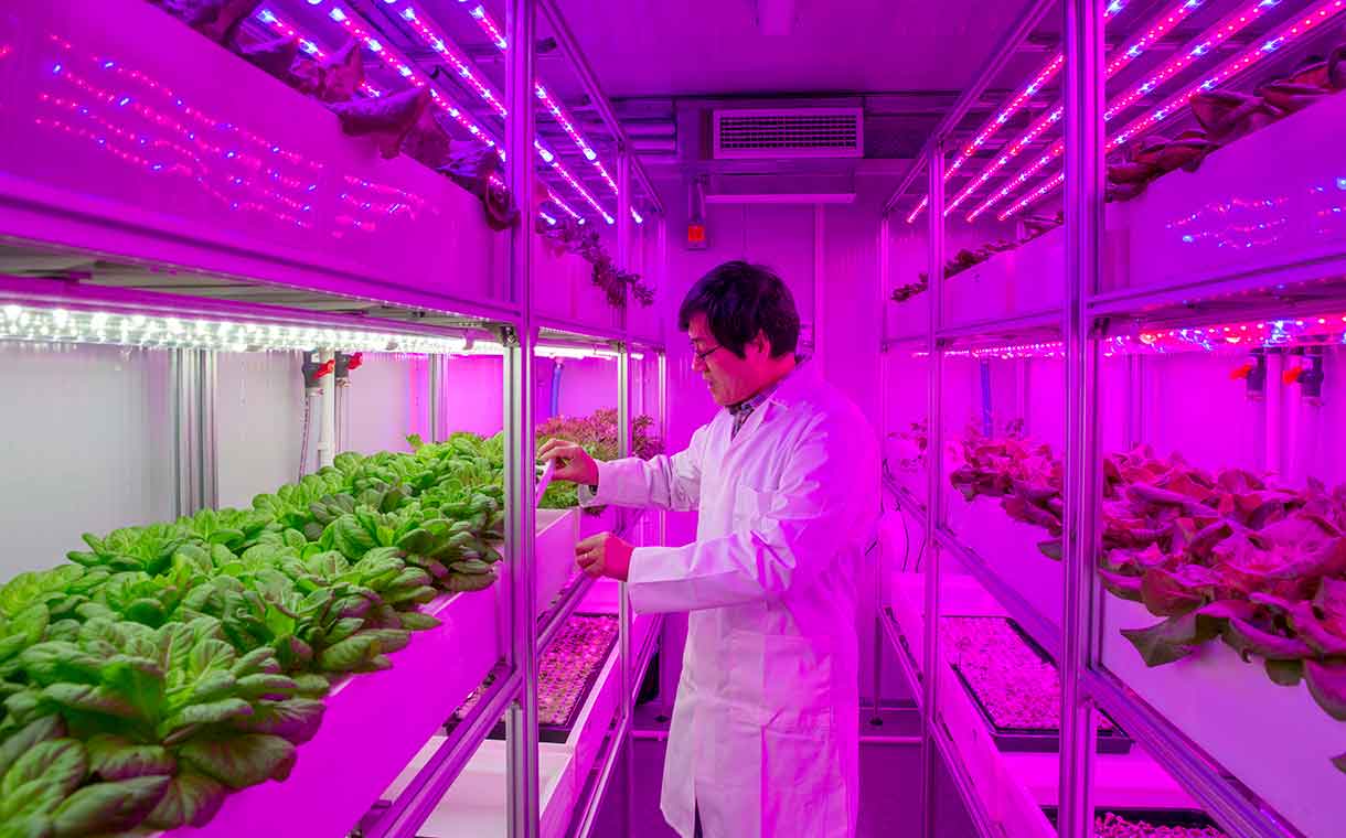 UK scientists develop ‘container farms’ to produce bigger crops