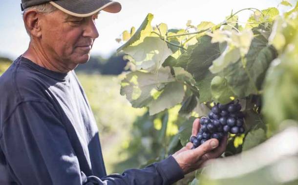 Welch’s in partnership to develop neutralised Concord grape juice