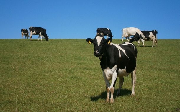 Land O’Lakes and Mars partner for dairy sustainability pitch