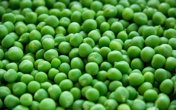 Burcon to build $48.3m pea and canola protein production facility