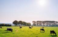 Valio offers free-range milk as part of sustainability agenda