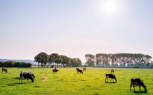 Valio offers free-range milk as part of sustainability agenda