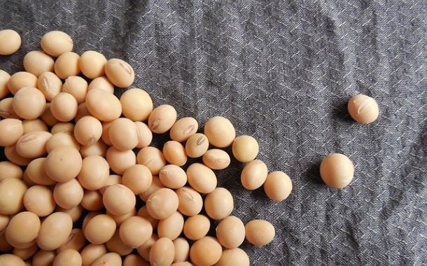 Protein Industries Canada backs partnership to develop new soybean products