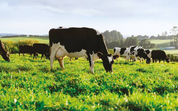 Digital dairy project receives £50k in funding from UK government