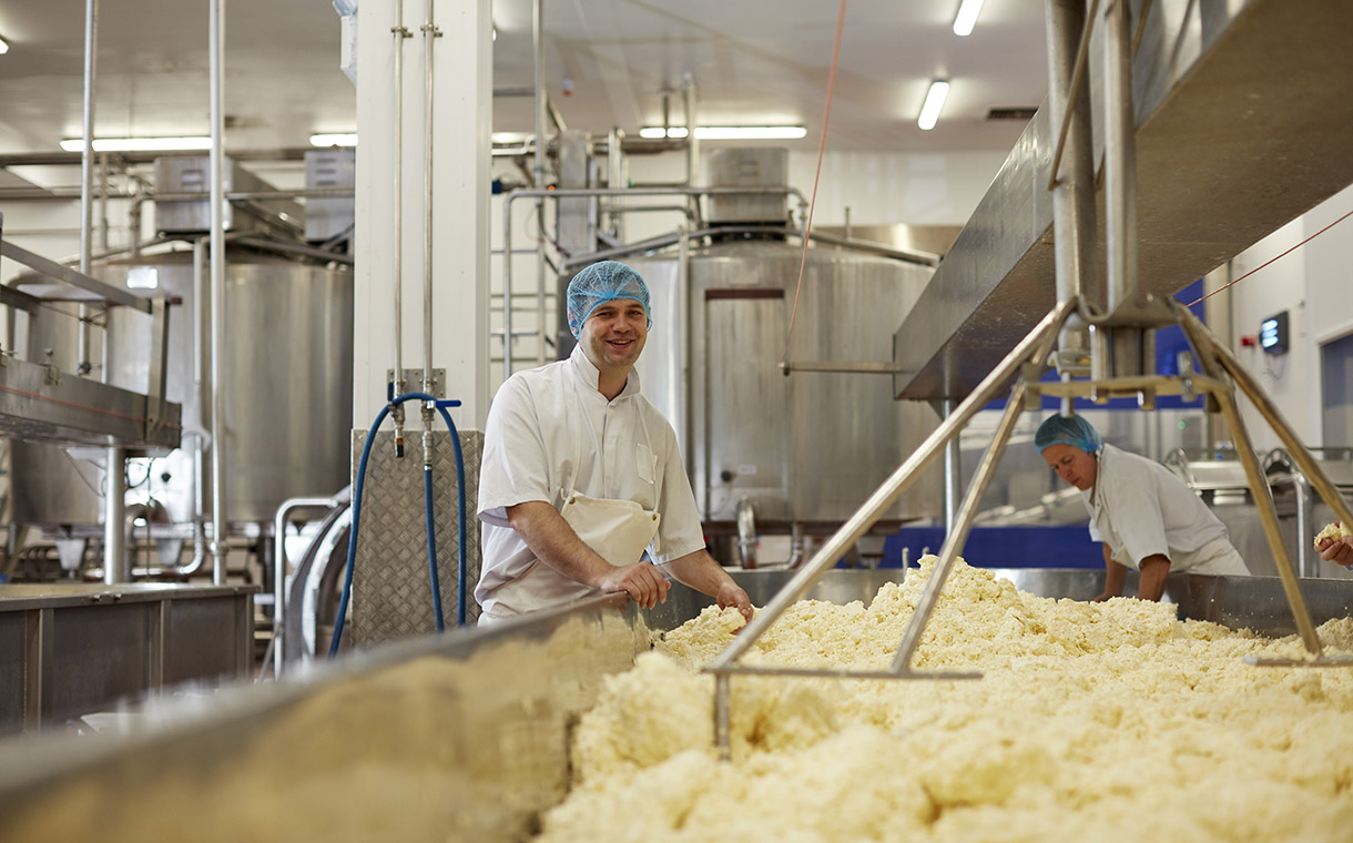 Wensleydale Creamery receives funding to boost cheese production