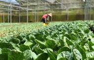 European Commission allocates 200m euro to support EU agri-food products