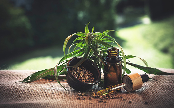 CTA alleges failure of FSA to support CBD and hemp industry amid Covid-19