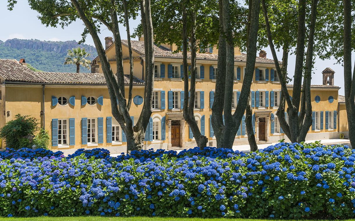Moët Hennessy acquires Château d'Esclans Côtes-de-Provence