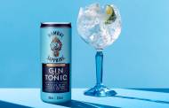 Bacardi releases ready-to-drink Bombay Sapphire gin and tonic