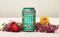 Camden Town Brewery launches new beer in support of bumblebees