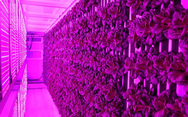 Freight Farms and Sodexo bring vertical farming to universities