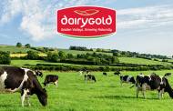 Dairygold Food Ingredients to invest £4.5 million in UK site