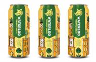 Carlsberg to acquire Waterloo Brewing in CAD 144m transaction