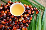 Cargill to construct new $200m palm oil refinery in Indonesia