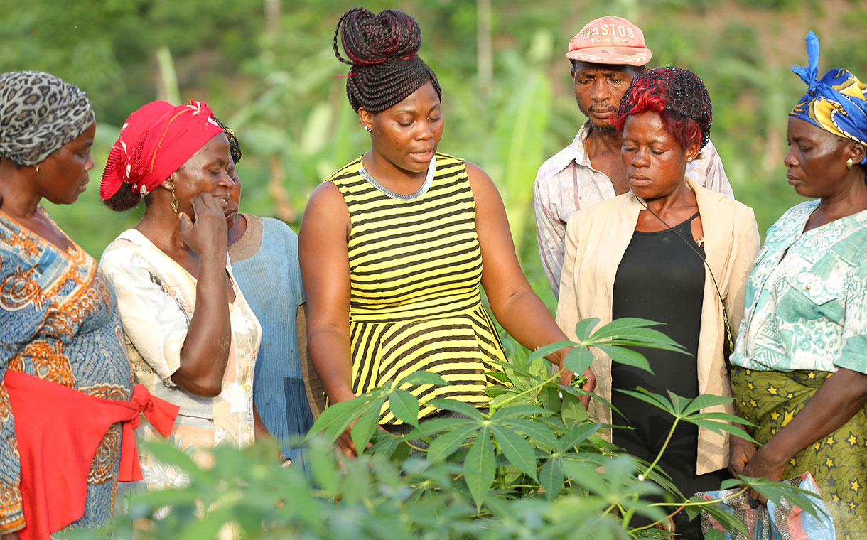 Nestlé partners with IDH to boost local sourcing in West and Central Africa