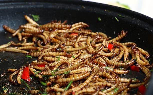 EFSA deems yellow mealworms safe for human consumption