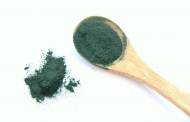 Global EcoPower’s acquisition boosts its spirulina production