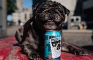 BrewDog supports homeless dogs with limited-edition IPA