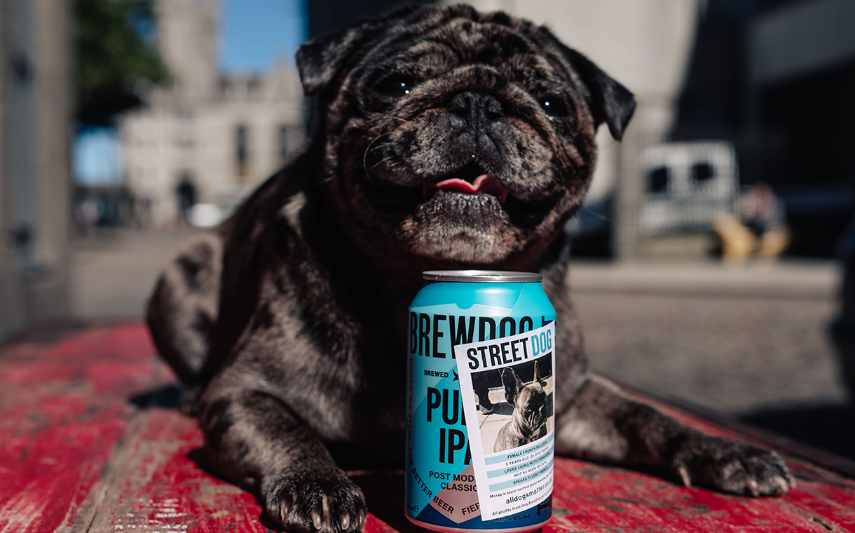 BrewDog supports homeless dogs with limited-edition IPA