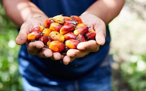 Unilever trials geolocation tech in palm oil supply chain