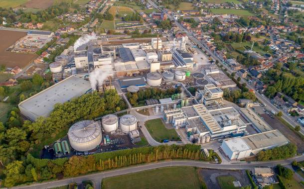 Beneo reduces carbon emissions by 40% at Belgian chicory plant