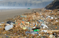 Iceland and UK's leading campaigners call for more transparency on plastic packaging
