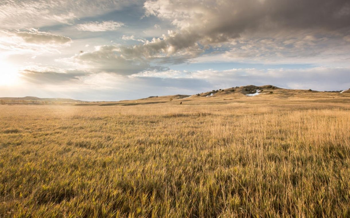 Walmart, Cargill and McDonald’s partner in WWF-led initiative to restore grasslands
