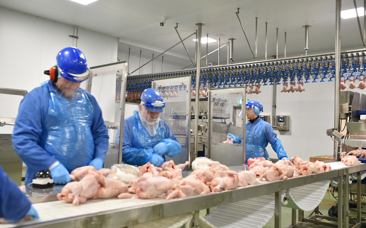Avara Foods invests over £11m in Brackley processing plant - FoodBev Media