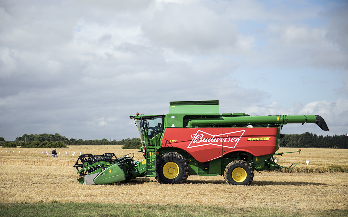 Budweiser UK sources 100% of its barley from British farms