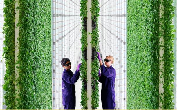 Vertical farming company Plenty secures $140m in funding