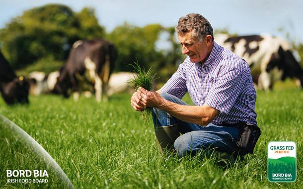 Grass-Fed Standard: The benchmark for Irish dairy