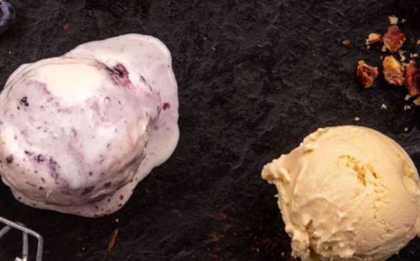 Ice cream maker High Road acquires Wisconsin plant