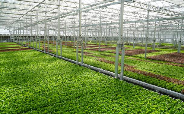 Urban agriculture firm Gotham Greens raises $87m in financing