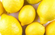 The Natural Fruit Company buys Spanish lemon business Frugarva
