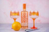 Silent Pool launches Rare Citrus Gin in UK